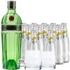 Tanqueray No. 10 Gin & 11 X Schweppes Dry Tonic & Gläser