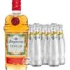 Tanqueray Flor De Sevilla Gin & Schweppes Dry Tonic Set -Getränke Geschäft 6er tanqueray flor de sevilla 07 dry tonic water