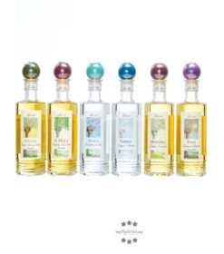 Berta Grappa Box Primavene Mit 6 X 0,2 L Flaschen -Getränke Geschäft berta grappa box primavene 6x02liter 6