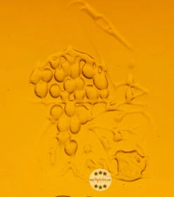 Berta Roccanivo Grappa Invecchiata -Getränke Geschäft berta roccanivo grappa 1