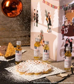 Gin Adventskalender X-Mas Edition -Getränke Geschäft myspirits gin adventskalender xmas edition mood 1