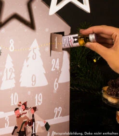 Gin Adventskalender X-Mas Edition -Getränke Geschäft myspirits gin adventskalender xmas edition mood 3