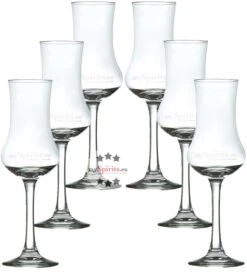 6 X MySpirits Schnapskelch