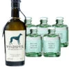Windspiel Gin & 5 X Match Mediterranean Tonic Set